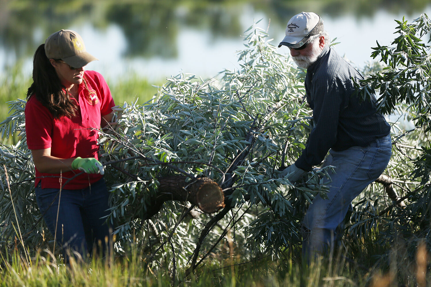 Cheyenne Stewart helps Jim Byram pull shrubs up the hill